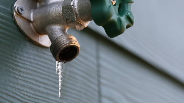 Best Plumbing Inspection Services  in Buchanan, VA