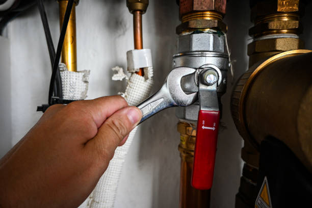 Best Emergency Plumber  in Buchanan, VA